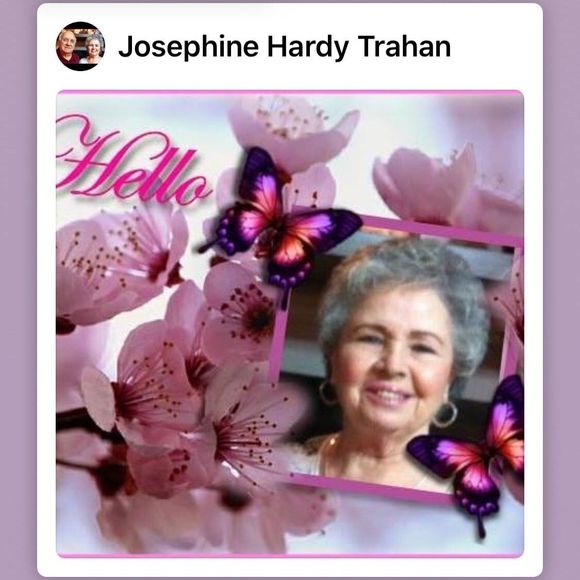 Meet your Posher, Josephine - Picture 1 of 1